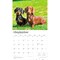 For the Love of Dachshunds | 2026 14 x 24 Inch (Hanging) Monthly Deluxe Wall Calendar | Foil Stamped Cover | Plastic-Free